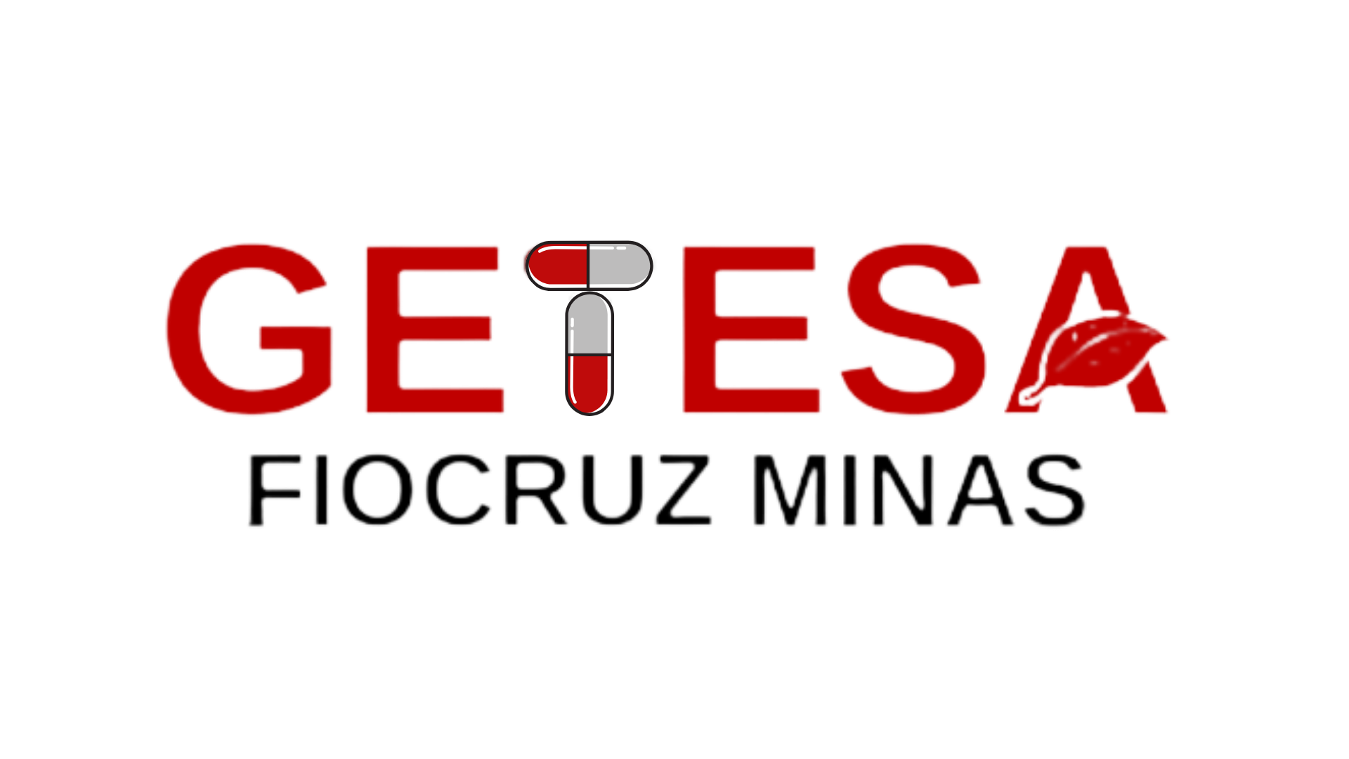 GETESA – Fiocruz – Grupo de Estudos Transdisciplinares em Tecnologias em Saúde e Ambiente